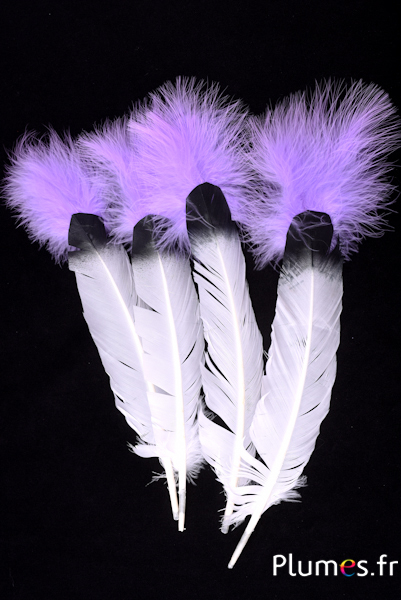 Oie - Plume indienne - 30-35 cm - pointe noire-lilas